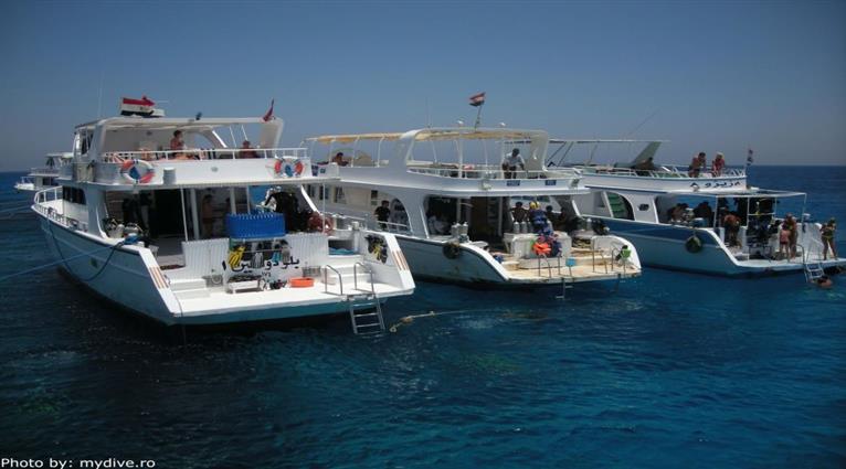 tour image